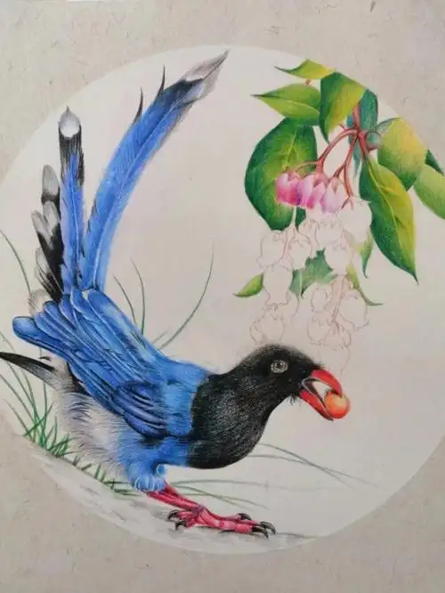 彩铅花鸟#彩铅绘画  #花鸟 #立体画