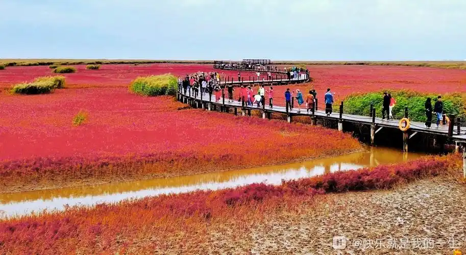 红海滩国家风景廊道