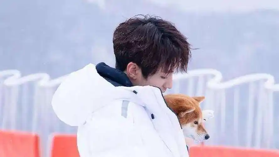 王俊凯坐雪地堆雪人帅气活泼青春气息十足