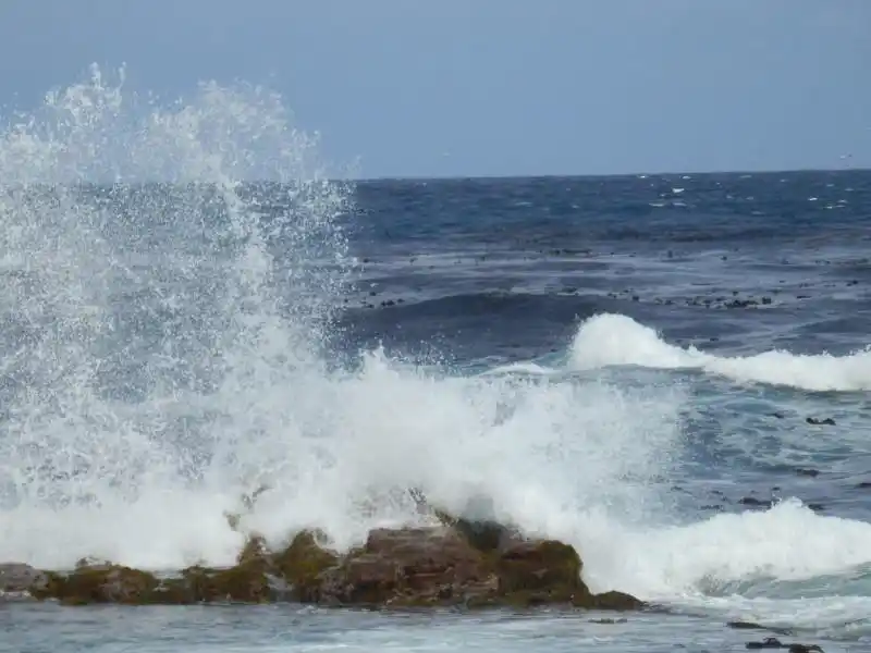 雪白的浪花图片第14张