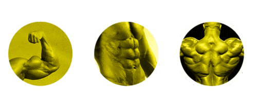 mainly it was the wish