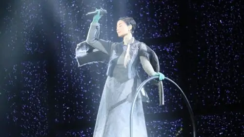 王菲幻乐一场fayesmomentslive20161080p蓝光原盘bdmv197g