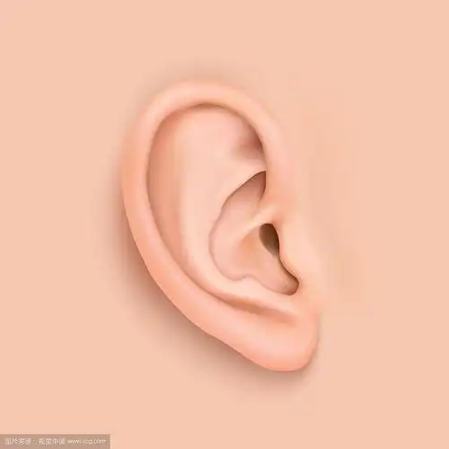 背景与现实的人耳特写