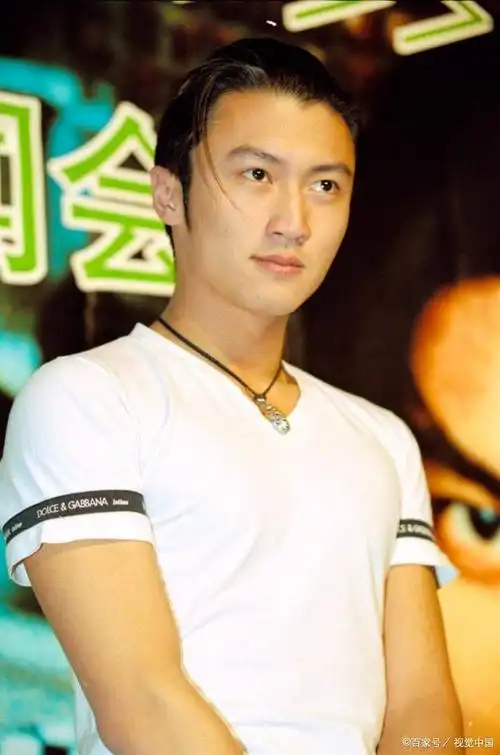 事情发生在1999年,谢霆锋只有19岁,在他的音乐会上