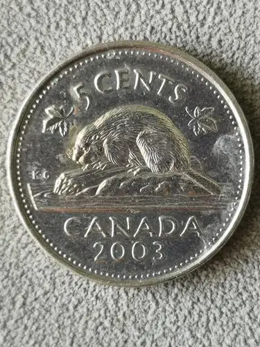 加拿大硬币面值5加分,共9枚