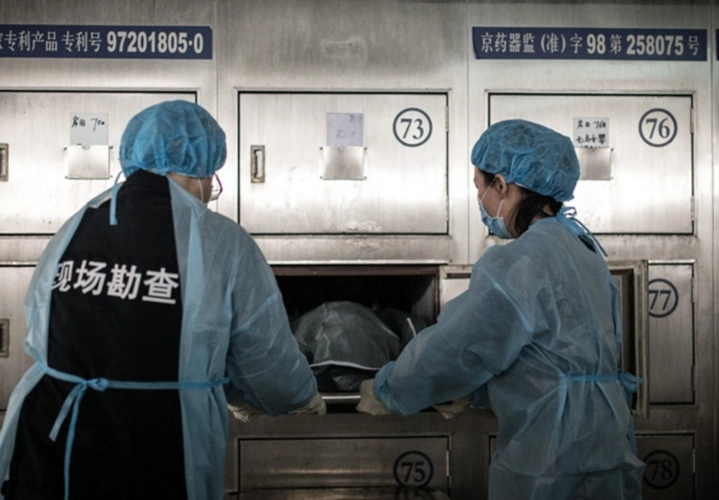 80后女法医的真实生活,不惧死人腐尸,曾面对一岁孩子放下解剖刀