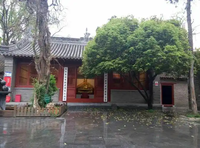 2022南阳医圣祠游玩攻略,老友相见,心情甚好.医圣告.【去哪儿攻略】