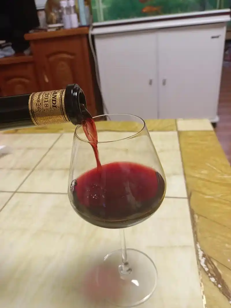 一个人,一杯酒,安静下来,这可能是我最舒服的样子.余生很贵  - 抖音