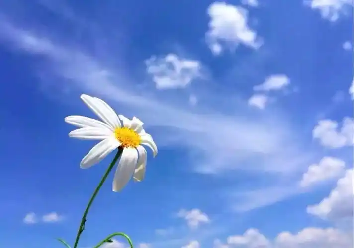 心情的美好图片_心情的美好