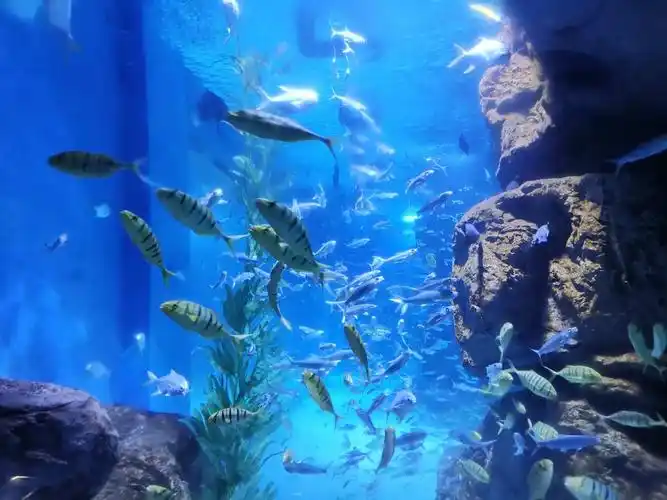 兰州极地海洋世界