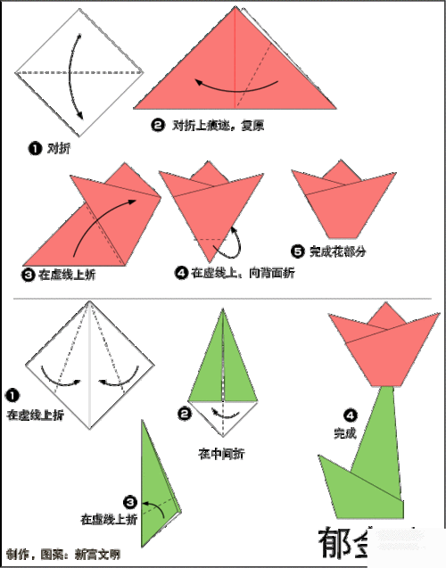 儿童折纸郁金香的折纸方法