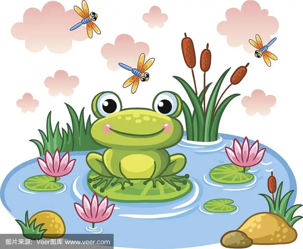 青蛙坐在池塘里的一片叶子上.