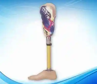 小腿树脂接受腔假肢