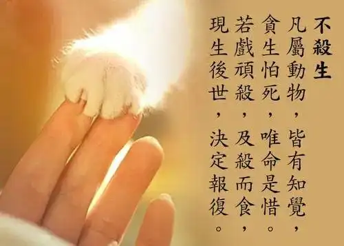 了知不杀生的无尽功德以及杀生的十种恶报