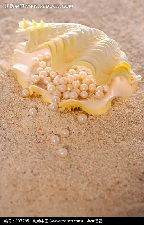 贝壳里的一堆珍珠图片(编号:907795)_珠宝服饰_生活百科_图片素材