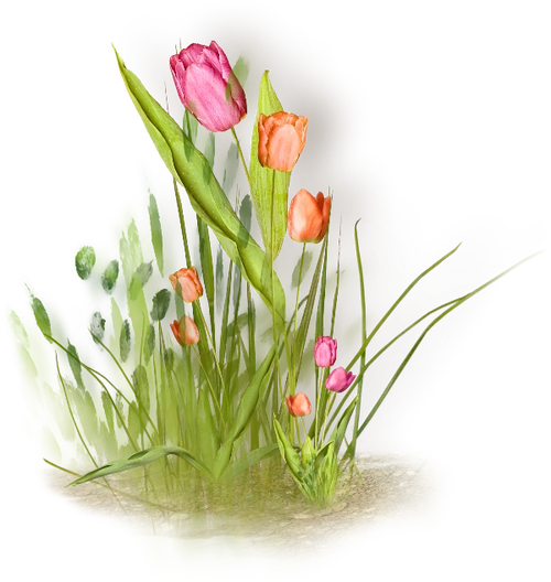 120张草坪草皮植物花卉背景透明png图片素材下载上