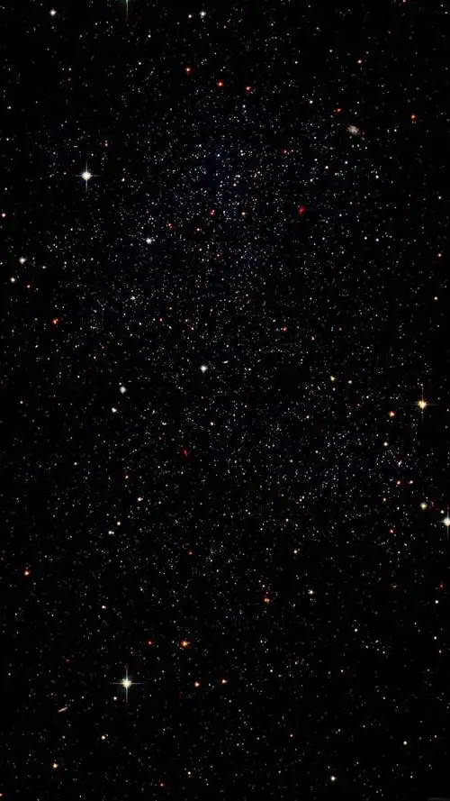 800_1422竖版 竖屏