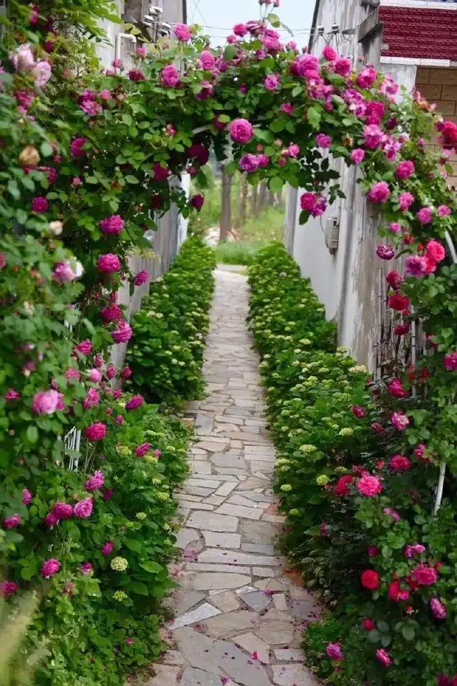 40岁夫妻"逃离城市"回农村,打造花园仙境,城里人排队看!