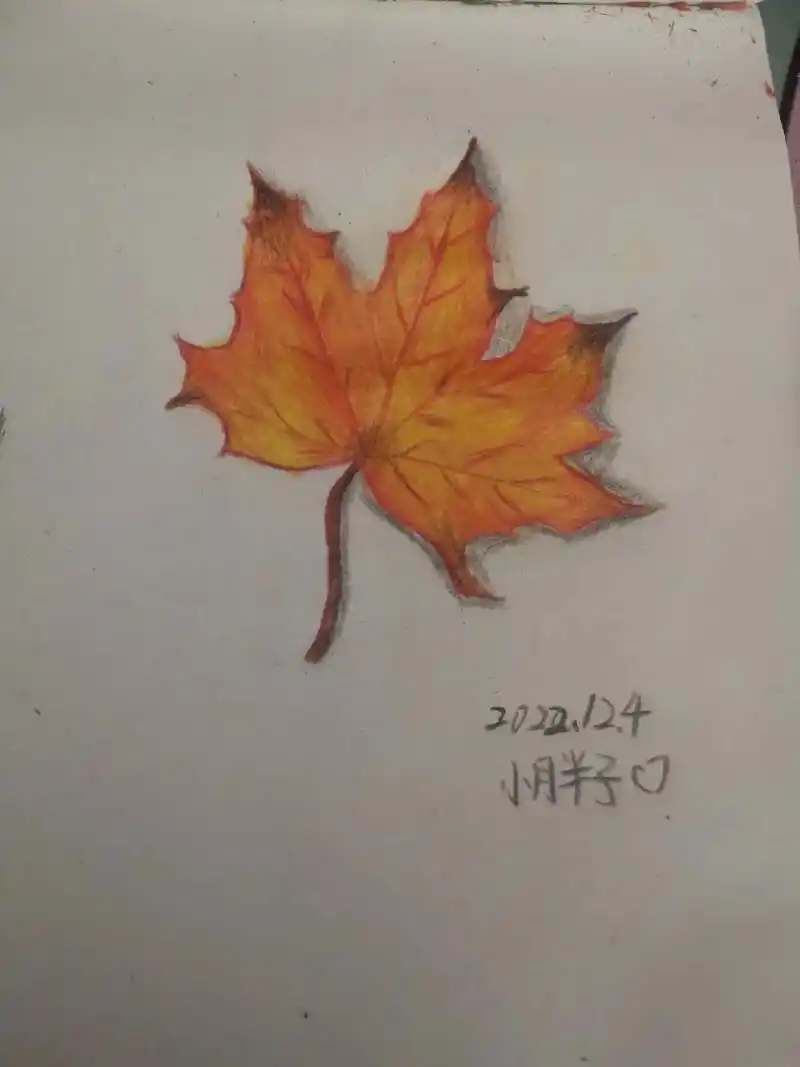 原创 #彩铅画画入门教程 #彩铅画 #彩铅绘画 #彩铅画教 - 兑趑