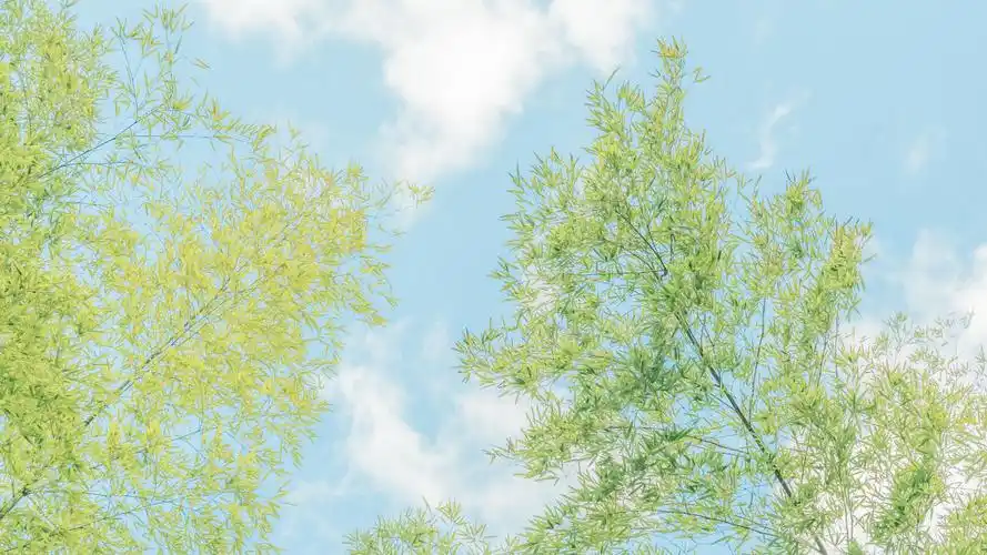 三明龙栖山清新景色