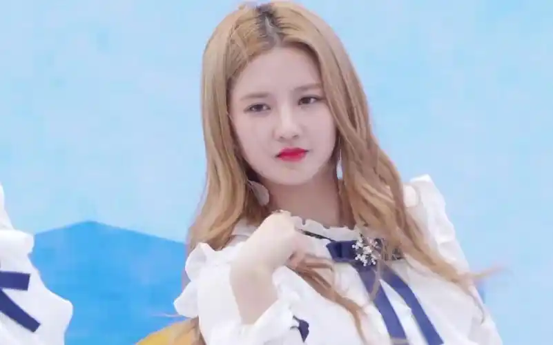 【gugudan】《good boy》刘些宁sally竖版直拍(170505)