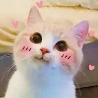 可爱喵星人卖萌头像_微信头像图片大全