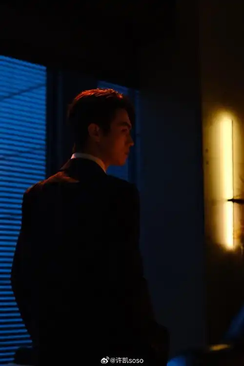 许凯校服男大爆改职场霸总##许凯西装背影好a