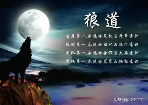 狼性励志句子霸气励志语录64条