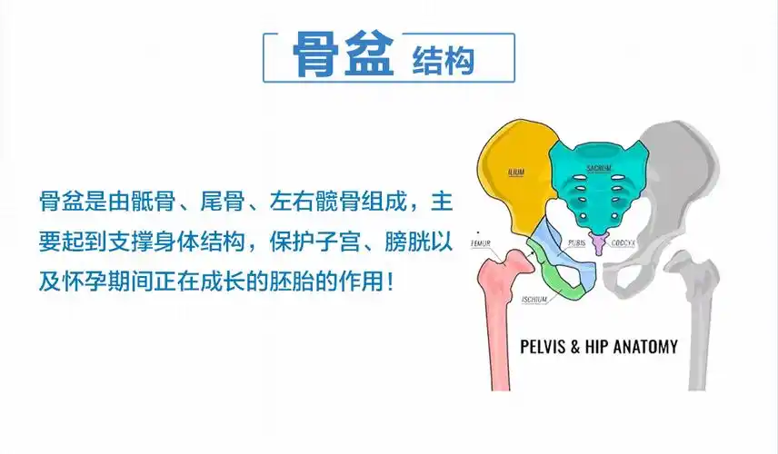 产后有必要做骨盆修复吗?_身体_妈妈_腰部