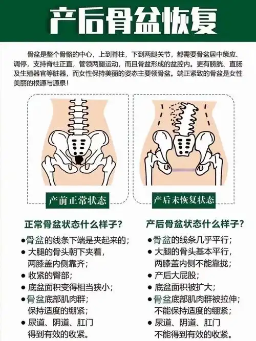 生娃前后骨盆居然变成这样了