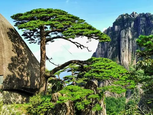 黄山是中国十大风景名胜区之一,是世界自然与文化双重遗产,"有五岳