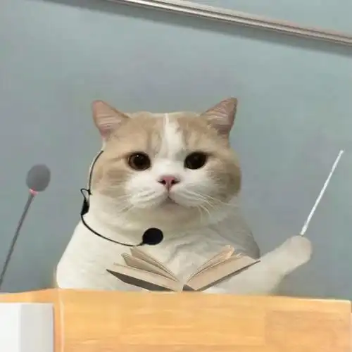 猫猫头像(职业版)