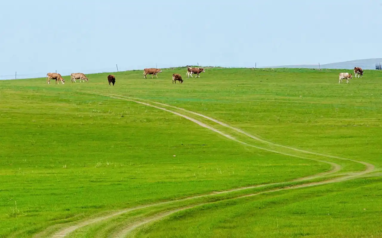 无边无际的草原风光高清桌面壁纸下载