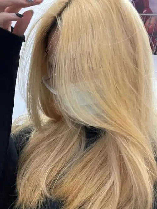 看了很多其他姐妹们的漂发经验,最后选择了施华蔻的