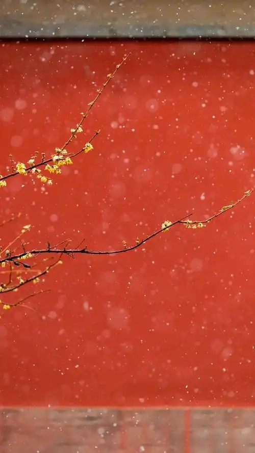 一道宫墙几许朱红故宫美图壁纸