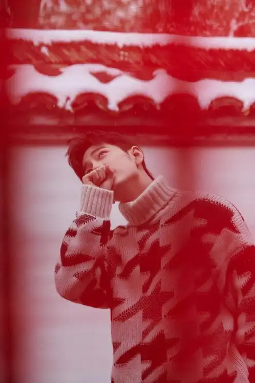 雪景写真#肖战瑞雪兆丰年雪景写真好温柔好帅啊,映照的红色更显年味