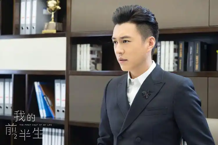 靳东最火的五部电视剧(靳东播放量前五名电视剧)-风水人