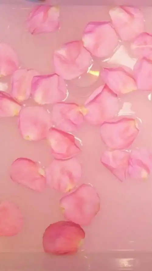 背景图贩卖机 小仙女望喜.