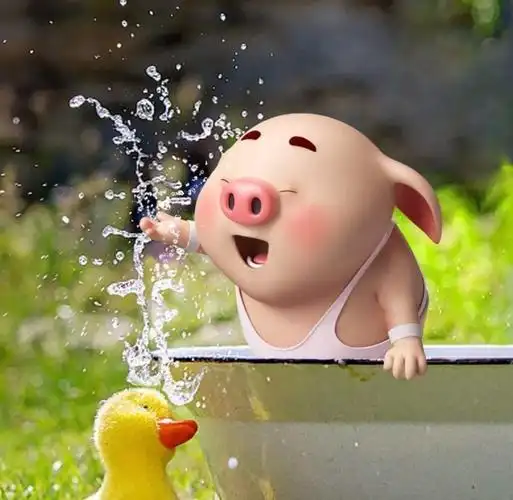 呆萌猪图片,呆萌猪图片唯美-图片大观-奇异网