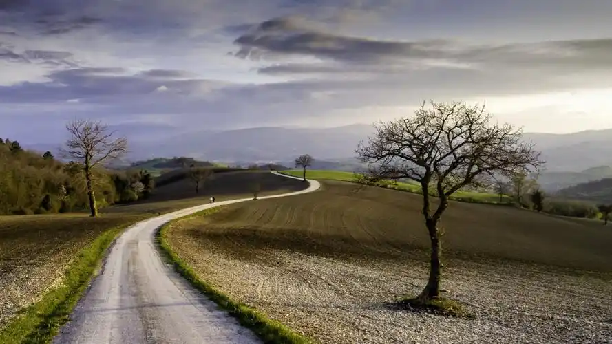 乡村风景农场道路树风光桌面壁纸