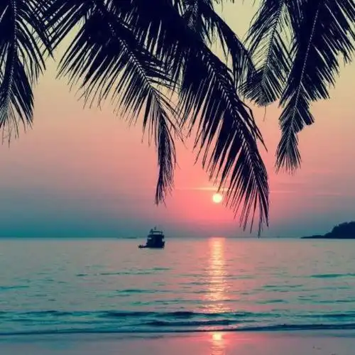 让人过目不忘的头像 高清好看高雅有气质的微信头像图片_微信头像