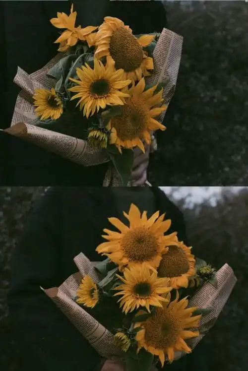 转自小红书 七七酱图 - 堆糖,美图壁纸兴趣社区