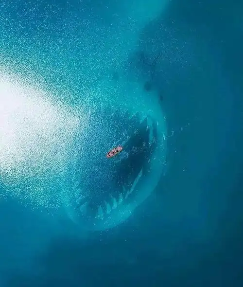 4张图片测试你有没有深海恐惧症,第二张是真实存在的场景?_网易订阅