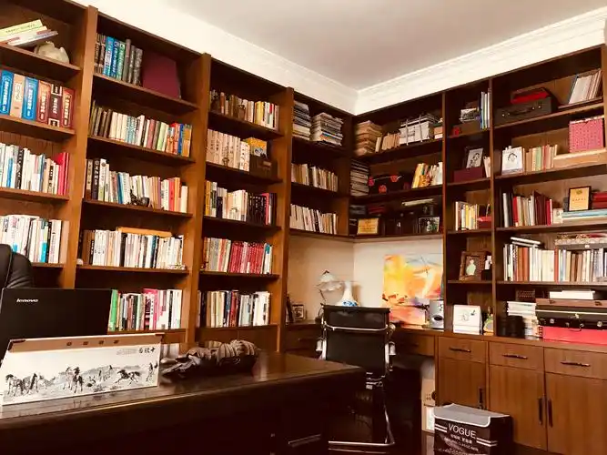书房的另一面墙也大部分是书.