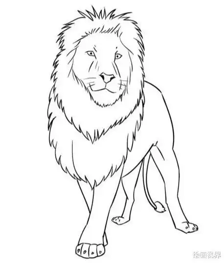 狮子怎么画狮子怎么画简笔画