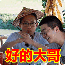 好的大哥表情包