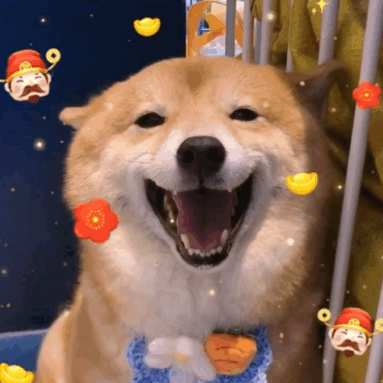 100多张可爱的表情包素材