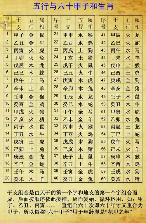 八字五行个数代表什么_八字详解_生辰八字网
