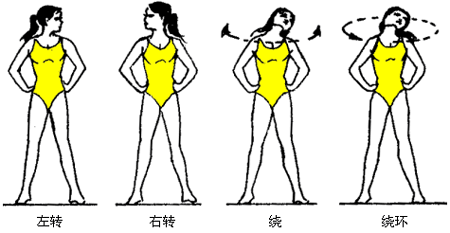 要求:做各种形式头颈动作时,上体保持正直,速度要慢,头颈移动的方向要