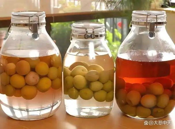 药酒的制作方法建议收藏